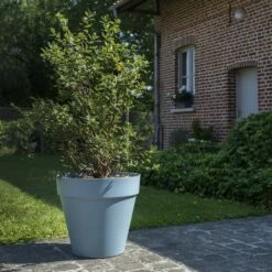 Baies De Mai FRUITY BERRY ® Gamme FRUITALITY ® -Garden Supplies Sales Shop 11 fruity berry verdia s.jarry 1000