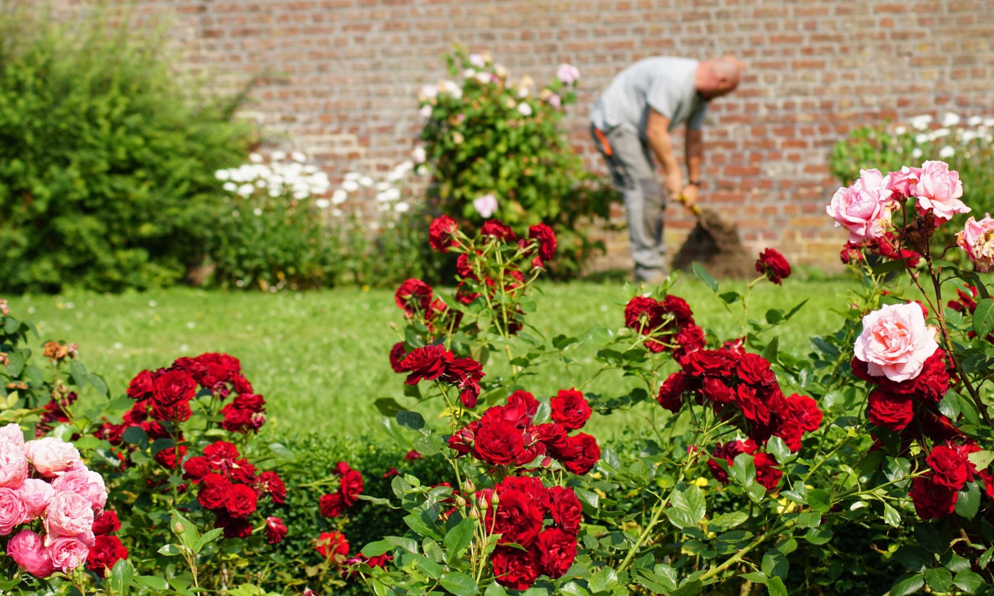 Garden Supplies Sales Shop -Garden Supplies Sales Shop 123123