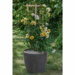 Rosier Grimpant EYECONIC ® Meipouzmoi -Garden Supplies Sales Shop 1240 2981 9736 rosier gpt eyeconic meipouzmoi pot rond granit 50x48 t1000