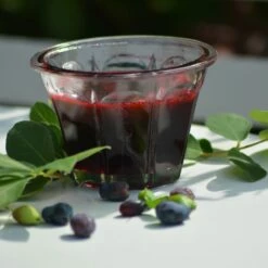 Baies De Mai FRUITY BERRY ® Gamme FRUITALITY ® -Garden Supplies Sales Shop 20 fruity berry verdia 1000