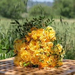 Rosier Grimpant Golden PAREO ® Meipiyou 9 Rosier Grimpant Golden PAREO ® Meipiyou -Garden Supplies Sales Shop 3135 2911a rosier grimpant golden pareo meipiyou mi t1000