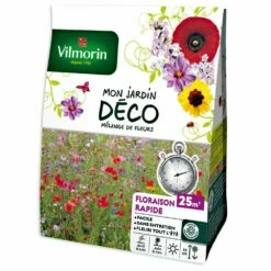 Jachère Fleurie Floraison Rapide