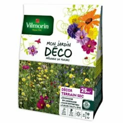 Jachère Fleurie Terrain Sec