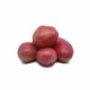 Pomme De Terre Alouette BIO -Garden Supplies Sales Shop 4847 alouette t1000