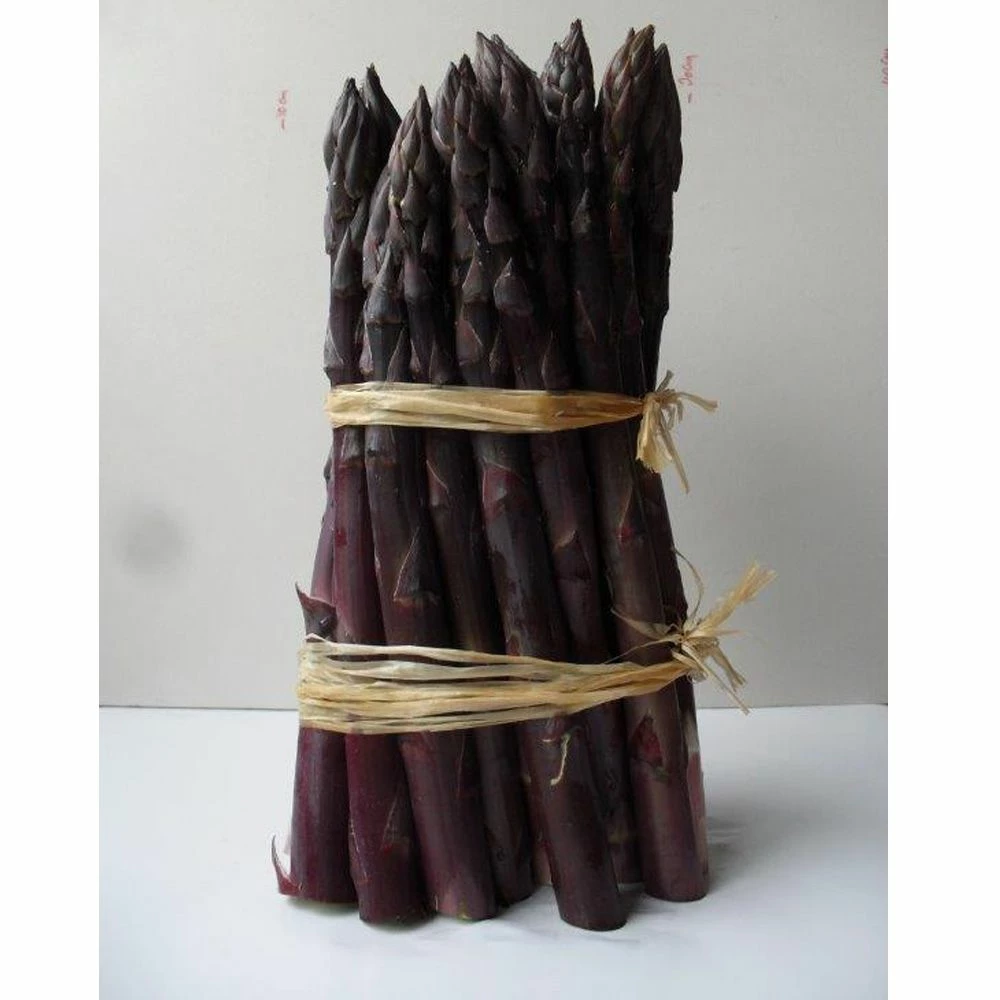 Asperge Violette Hybride F1 3 Asperge Violette Hybride F1