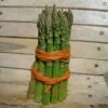 Asperge Voltaire Hybride F1 -Garden Supplies Sales Shop 4882 asperge lima hybride taille1000 ho