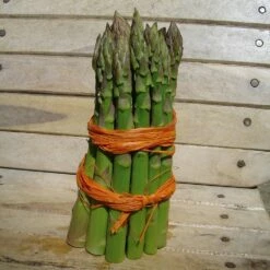 Asperge Voltaire Hybride F1