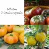 Collection De 3 Tomates Originales En Plants -Garden Supplies Sales Shop 6949 collection de 3 tomates originales