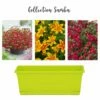 Collection Samba 2 Collection Samba -Garden Supplies Sales Shop 6961 1