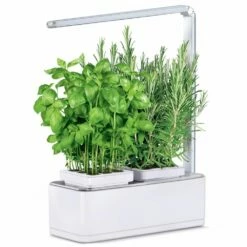 Potager D’intérieur Viviana