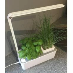 Potager D’intérieur Viviana 13 Potager D’intérieur Viviana -Garden Supplies Sales Shop 9001d potager d interieur viviana tj t1000