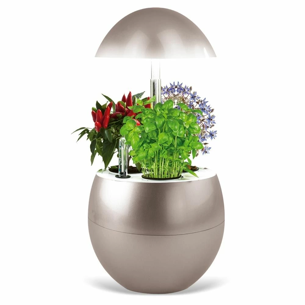 Potager D’intérieur Vilma - Image 2