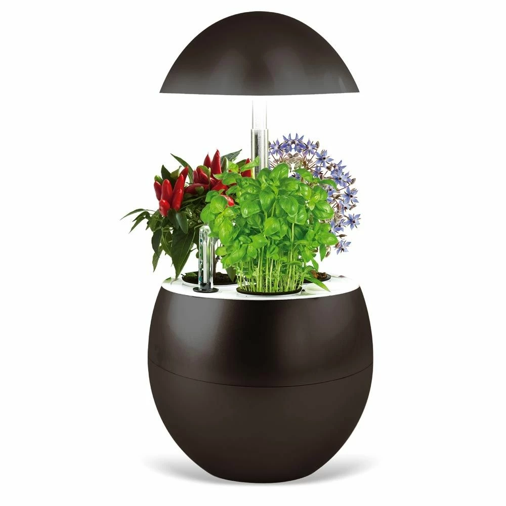 Potager D’intérieur Vilma