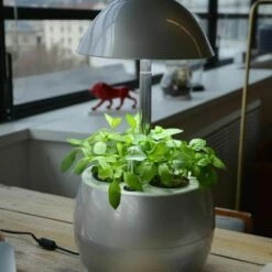 Potager D’intérieur Vilma -Garden Supplies Sales Shop 9002 9005 9006e potager d int rieur vilma vilmorin t1000