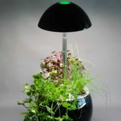 Potager D’intérieur Vilma -Garden Supplies Sales Shop 9002 9005 9006f potager d int rieur vilma vilmorin t1000