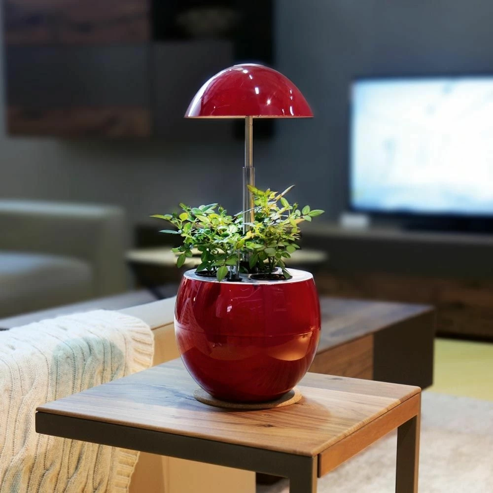 Potager D’intérieur Vilma - Image 8