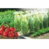 Tomatotube -Garden Supplies Sales Shop 9222 tomatotube t1000