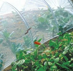 Biocontrol Filet Anti-insectes
