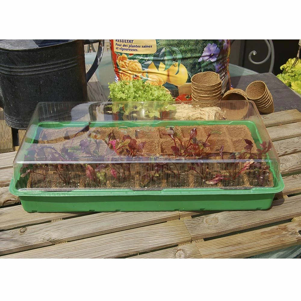 Mini-serre 3 Mini-serre