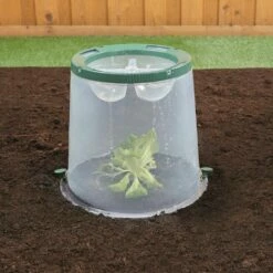 Kit De 3 Cloches Sunny 6 Kit De 3 Cloches Sunny -Garden Supplies Sales Shop 9733a kit 3 cloches sunny graff t1000