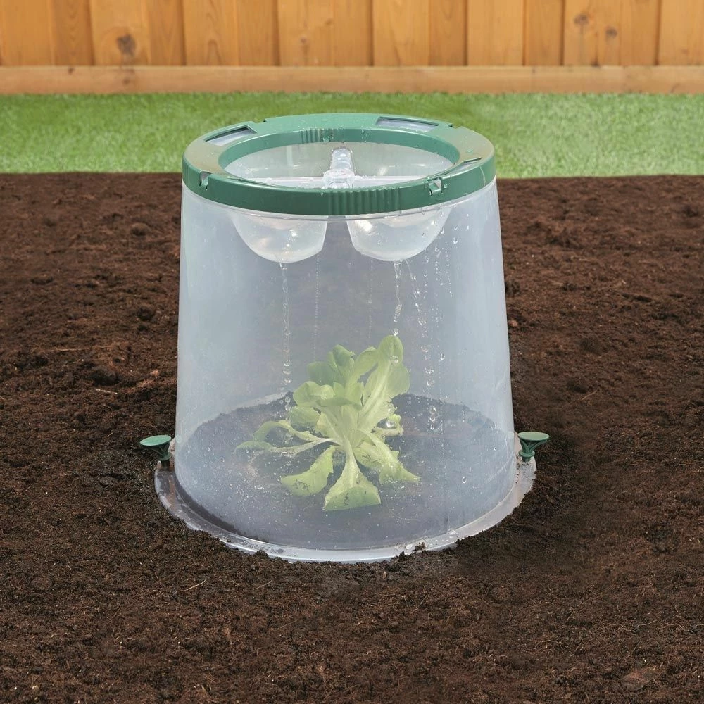 Kit De 3 Cloches Sunny 4 Kit De 3 Cloches Sunny - Image 2