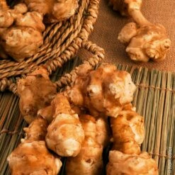 Topinambours Violet De Rennes BIO