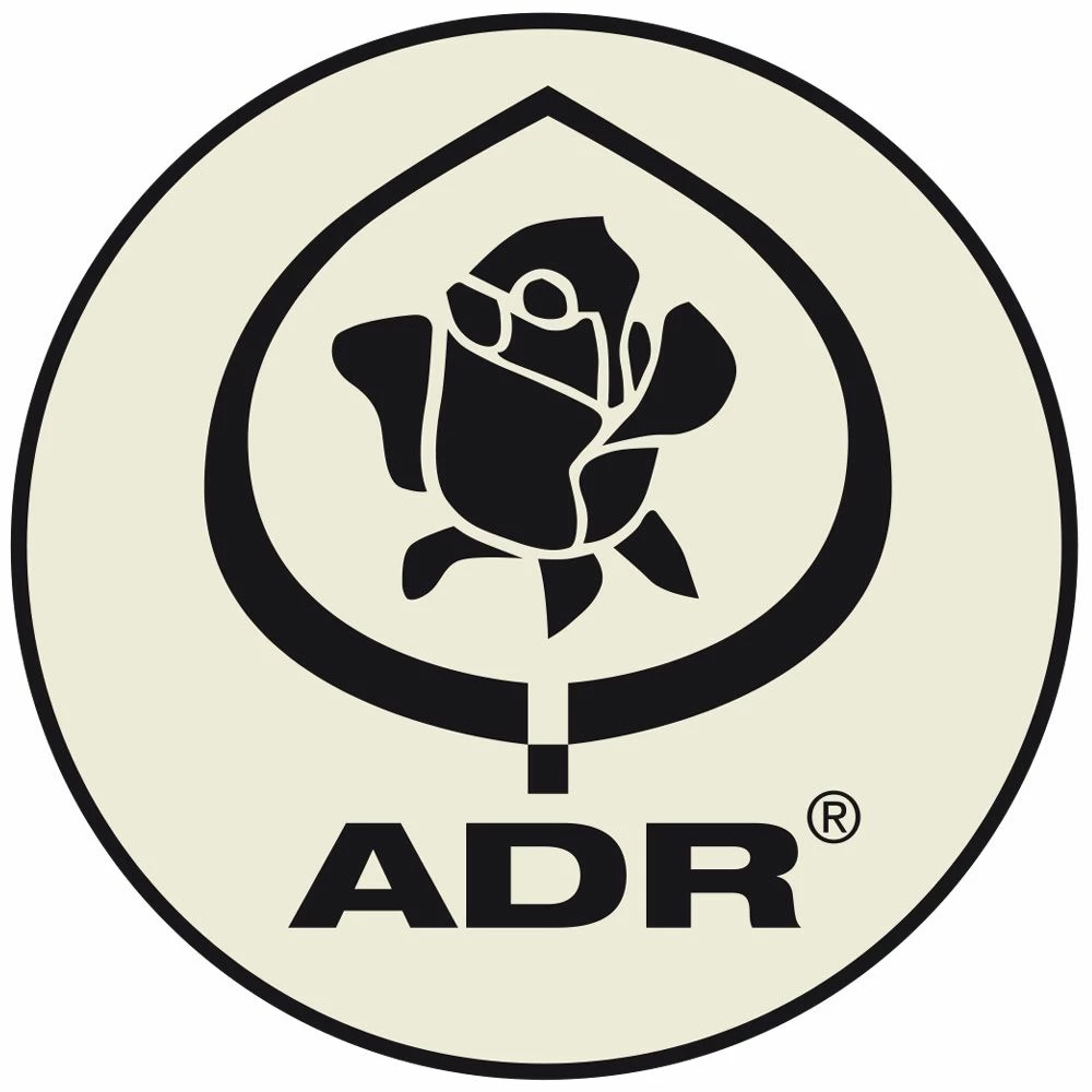 Rosier PANTHERE ROSE ® Meicapinal 7 Rosier PANTHERE ROSE ® Meicapinal - Image 5