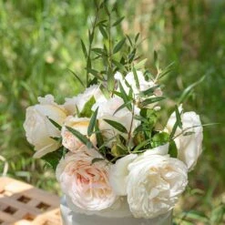 Rosier CAMILLE CLAUDEL ® Meiroguste 9 Rosier CAMILLE CLAUDEL ® Meiroguste -Garden Supplies Sales Shop meiroguste camille claudel 19 00013 2 t1000